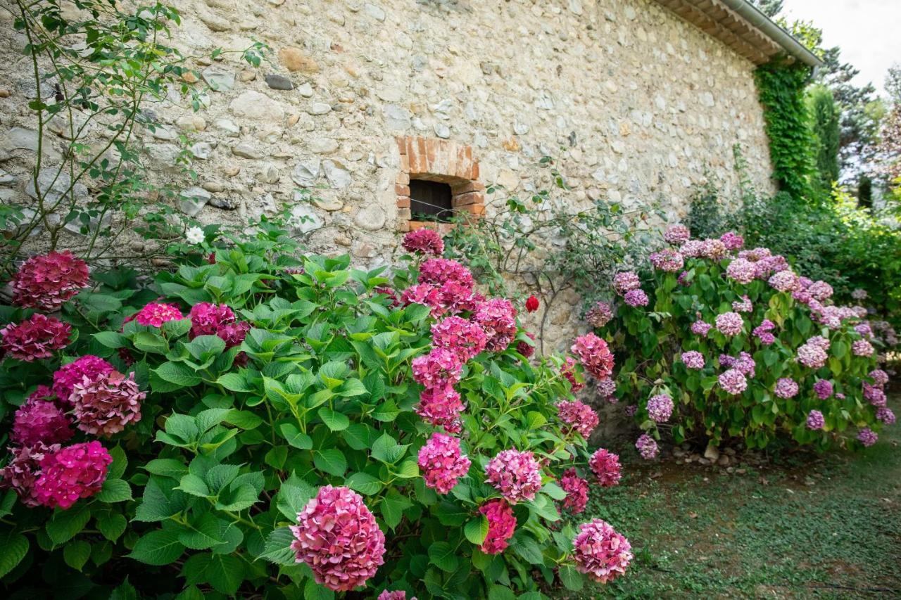 Gite Mon Paradis Vallon-Pont-d'Arc Exterior photo